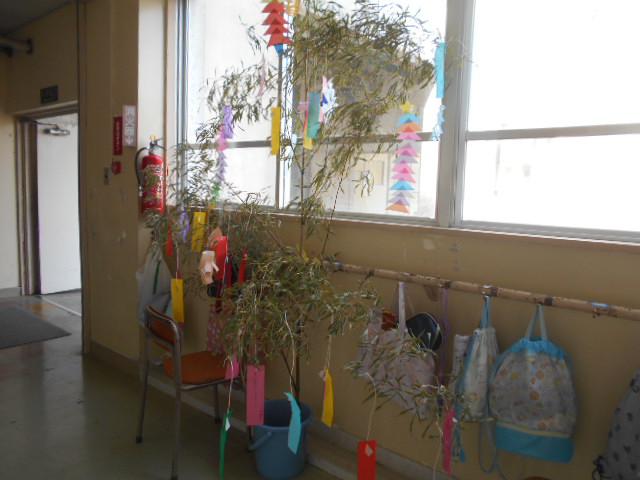 DSCN9694.JPG