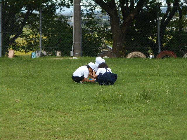 DSCN9814.JPG