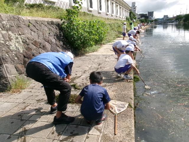 100_1803.JPG