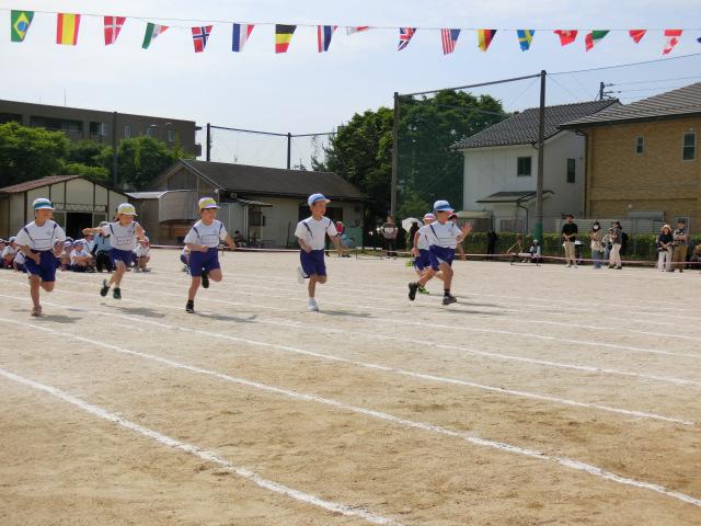 CIMG0518.JPG
