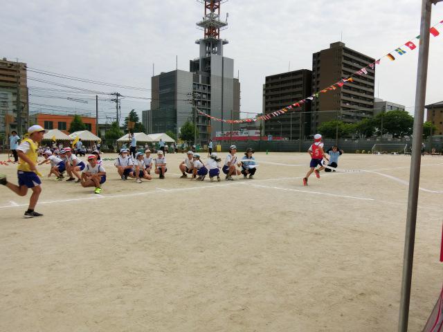 CIMG0553.JPG