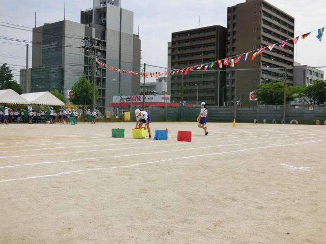 CIMG0558.JPG