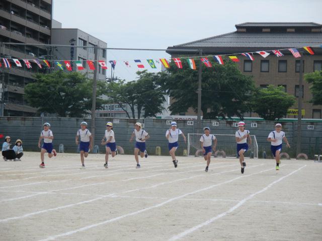 IMG_3011.JPG