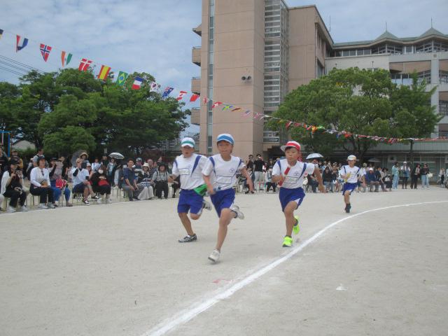 IMG_3013.JPG