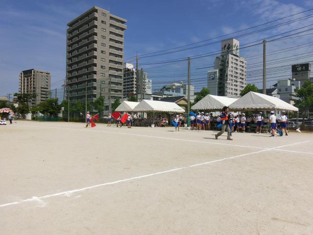 CIMG0516.JPG