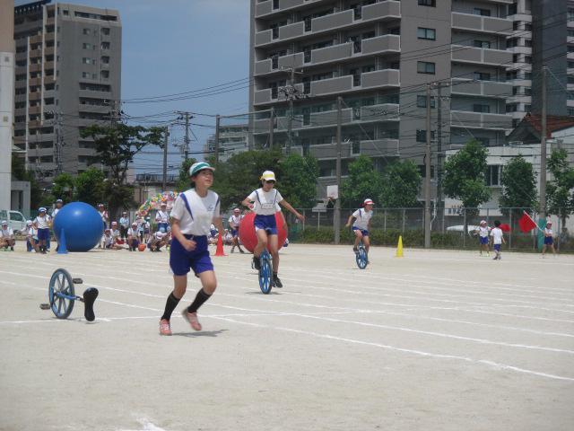 IMG_3072.JPG
