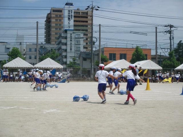 IMG_3090.JPG