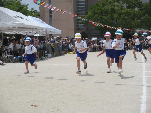 IMG_3126.JPG
