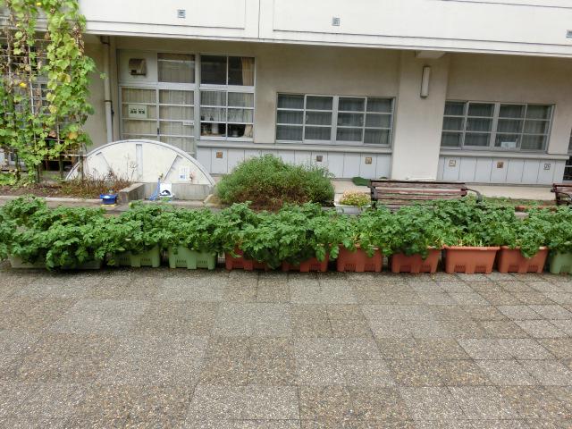 CIMG0059.JPG