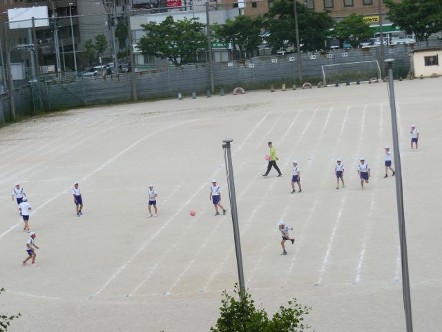 CIMG0305.JPG