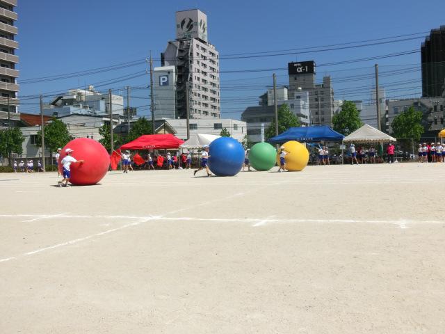 CIMG0398.JPG