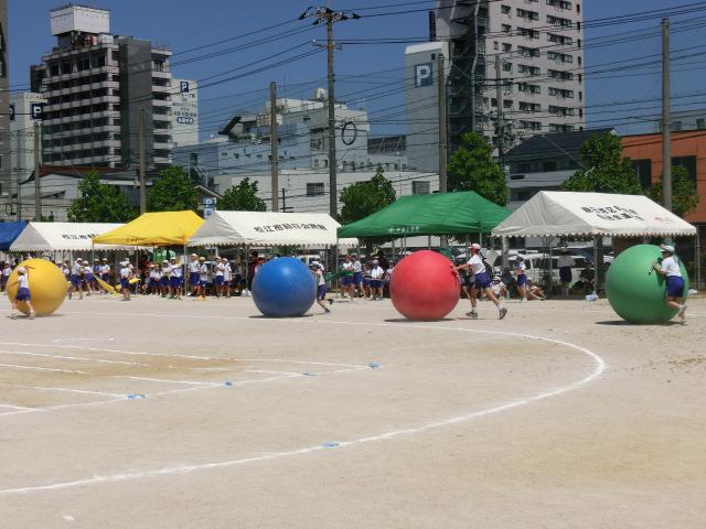 CIMG0413.JPG