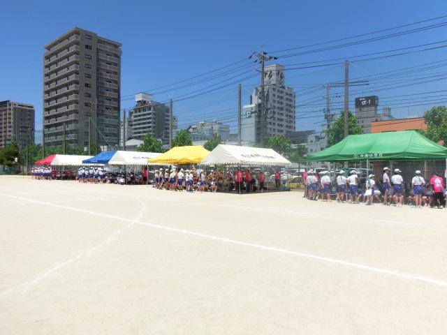 CIMG0461.JPG