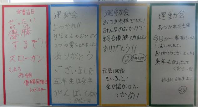 CIMG0487.JPG