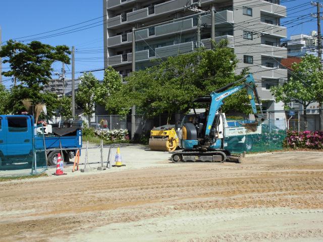 CIMG3379.JPG