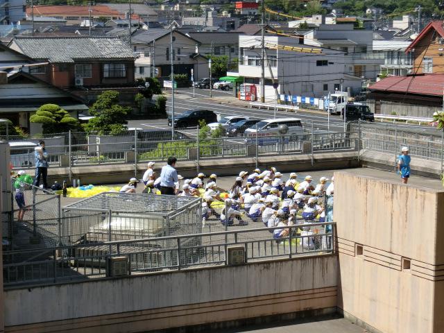 CIMG8158.JPG