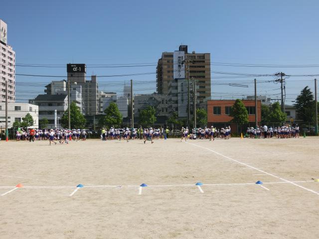 CIMG8181.JPG