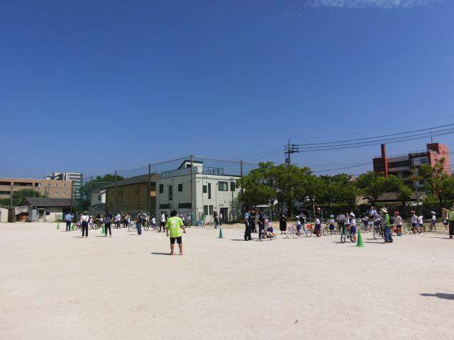 CIMG8341.JPG