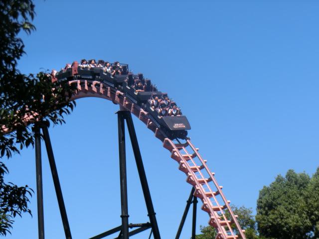 CIMG9767.JPG