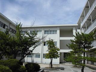 CIMG7972.jpg