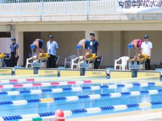 IMG_0118_Original.jpg