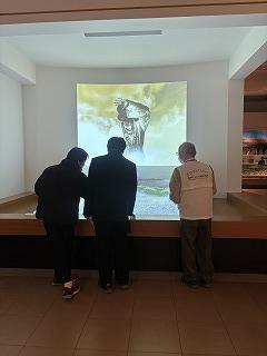 IMG_0195.jpg
