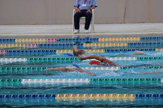 IMG_0231.jpg