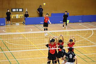 IMG_0280.jpg