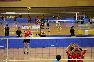 IMG_0467.jpg