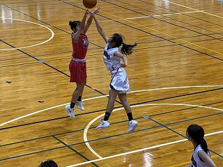 IMG_0743.jpg