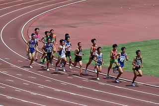 IMG_0783.jpg