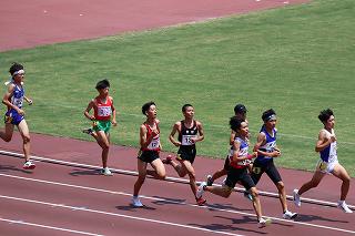 IMG_0800.jpg