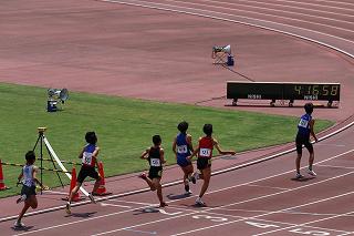 IMG_0822.jpg