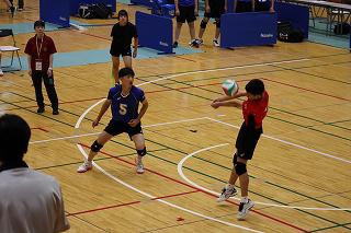 IMG_1029.jpg