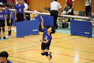 IMG_1100.jpg