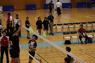 IMG_1148.jpg