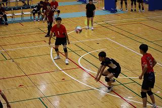 IMG_1185.jpg