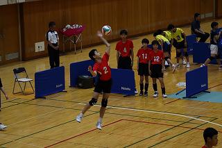 IMG_1254.jpg