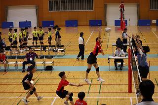 IMG_1266.jpg