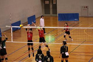 IMG_4827.jpg