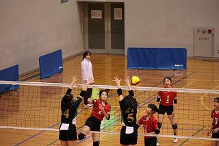 IMG_4831.jpg