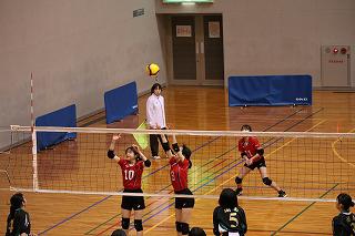 IMG_4852.jpg