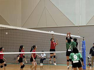 IMG_1355.jpg