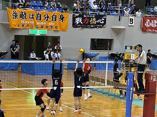 IMG_1373.jpg