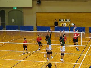 IMG_1486.jpg