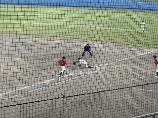 IMG_1593.jpg