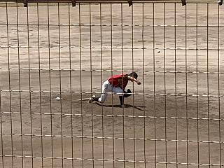 IMG_1641.jpg