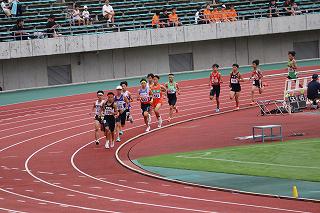 IMG_1712.jpg