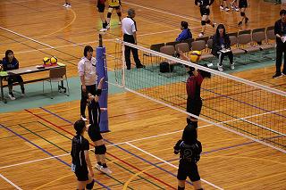 IMG_5485.jpg