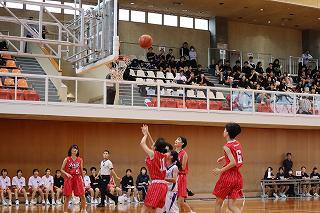IMG_2172.jpg